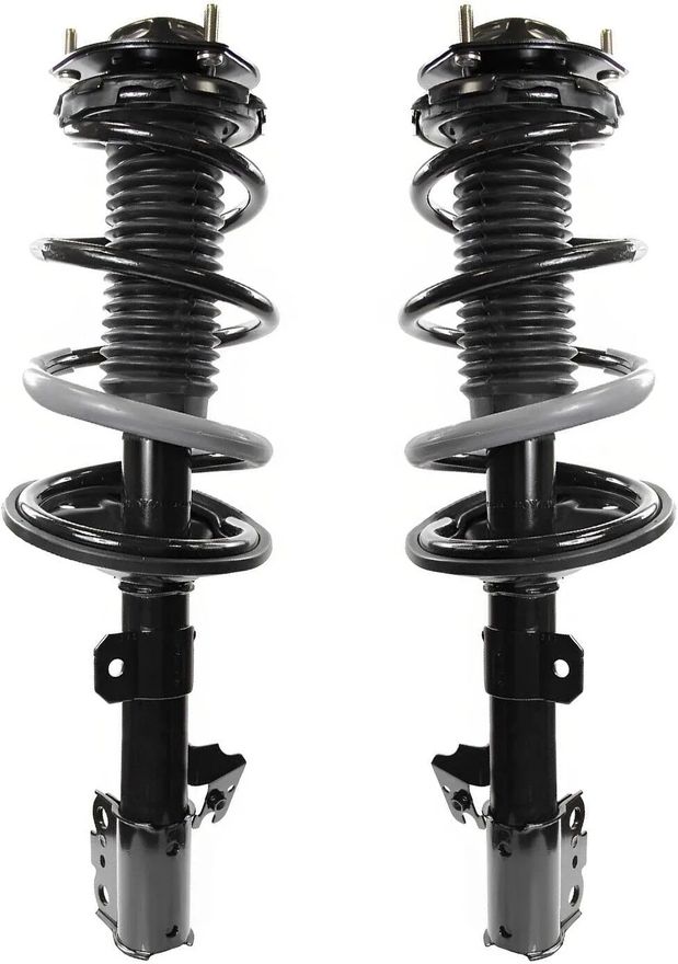 Rear Struts w/Coil Spring - 171496_171497