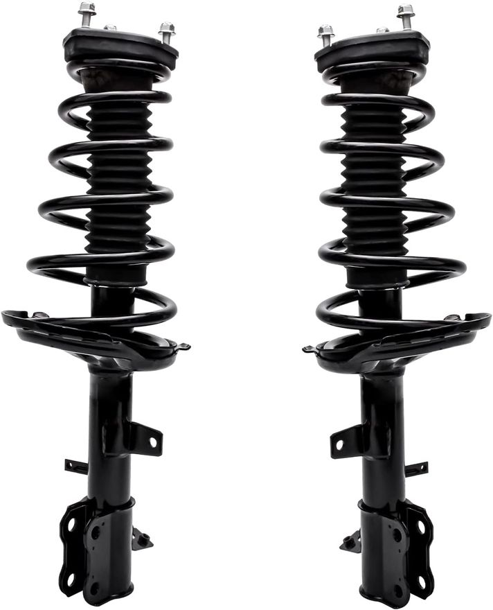 Rear Struts w/Coil Spring - 172215_172216