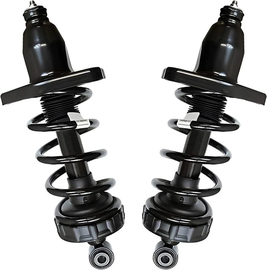 Rear Struts w/Coil Spring - 172398L_172398R