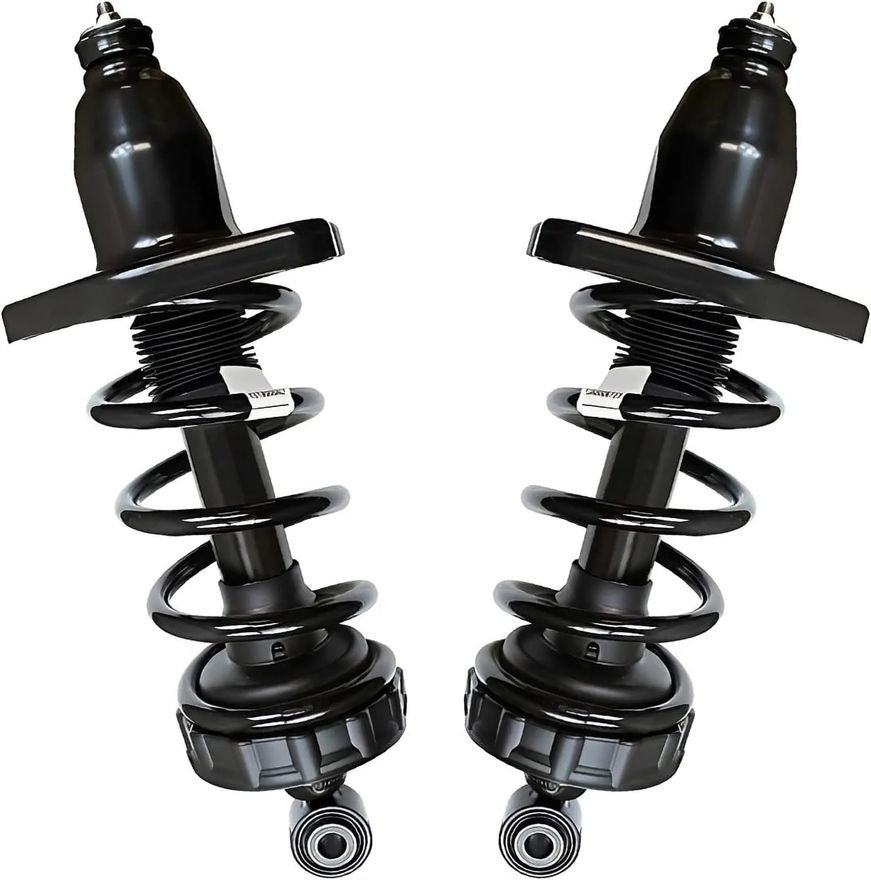 Rear Struts w/Coil Spring - 172398L_172398R