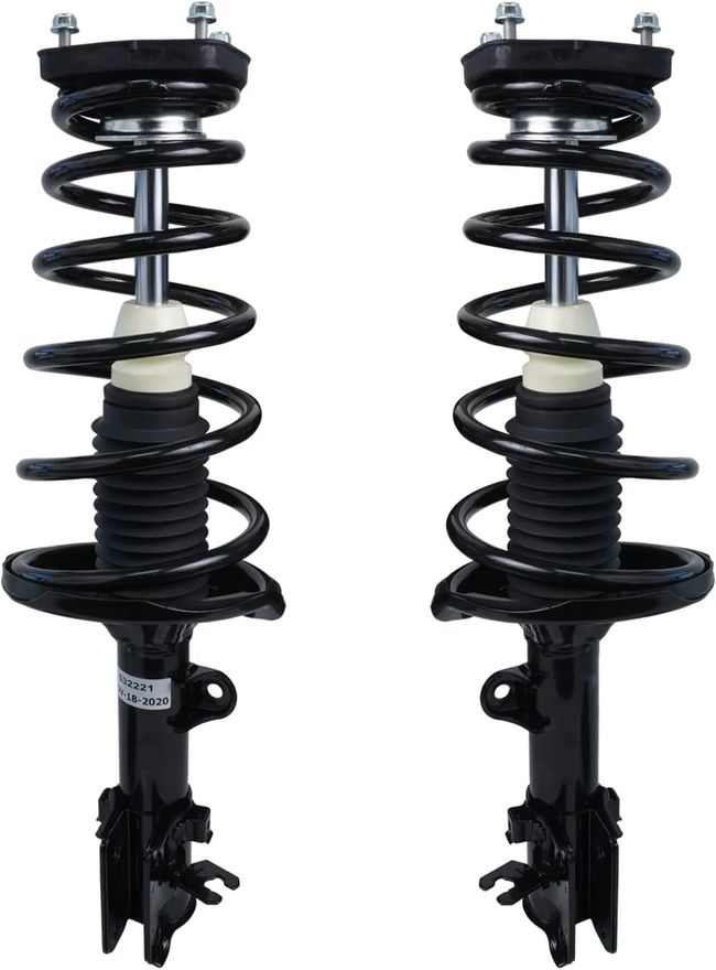 Rear Struts w/Coil Spring - 172221_172222