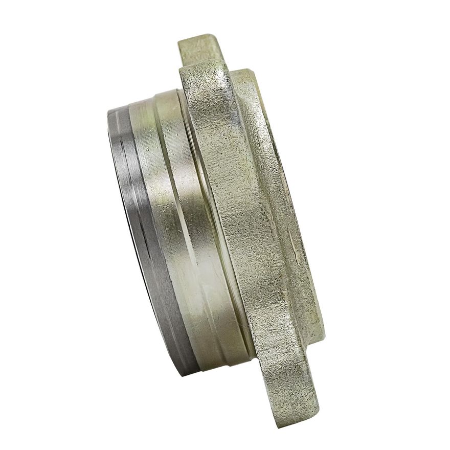 Front Wheel Bearing Module - 513161