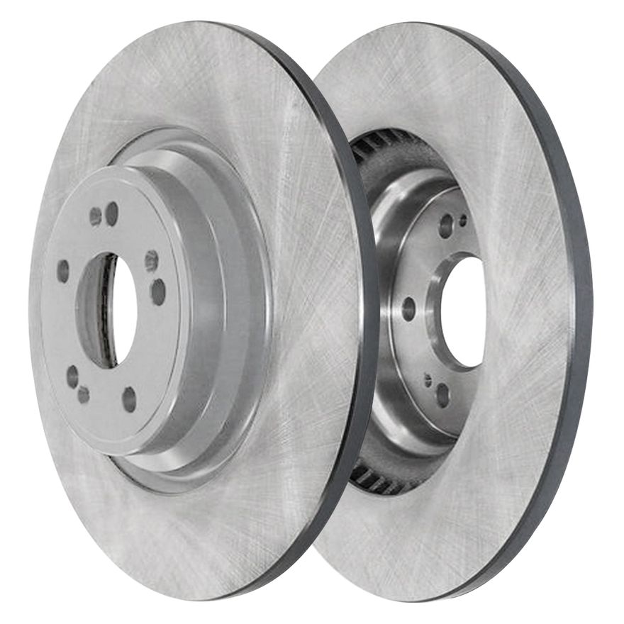 Rear Disc Brake Rotor - R-800310 x2