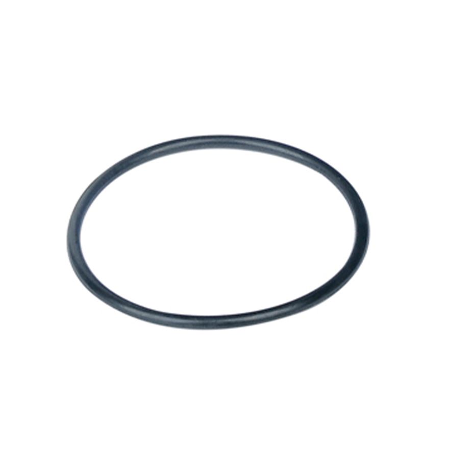 Fuel Pump Module - FP76252M