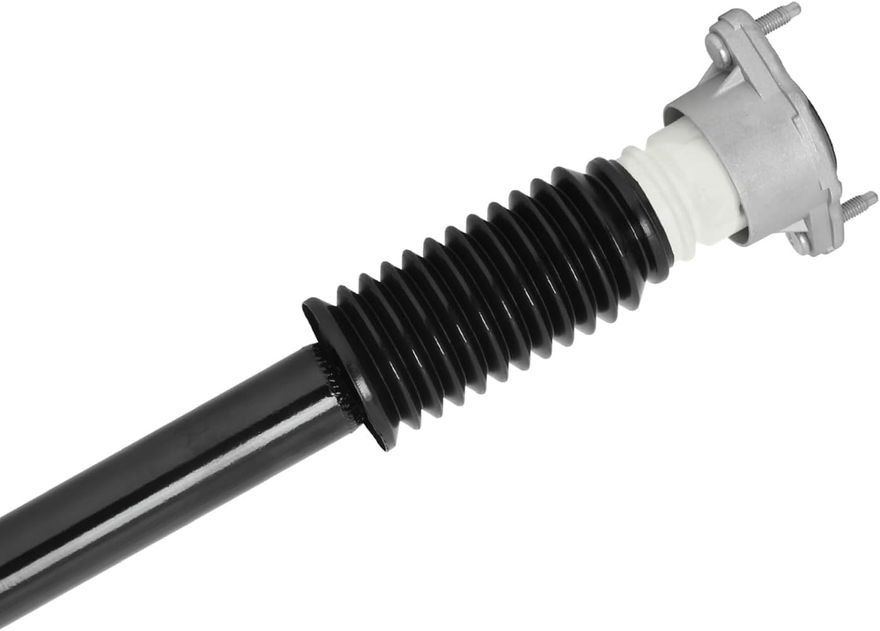 Rear Shock Absorber - 4254870 x2