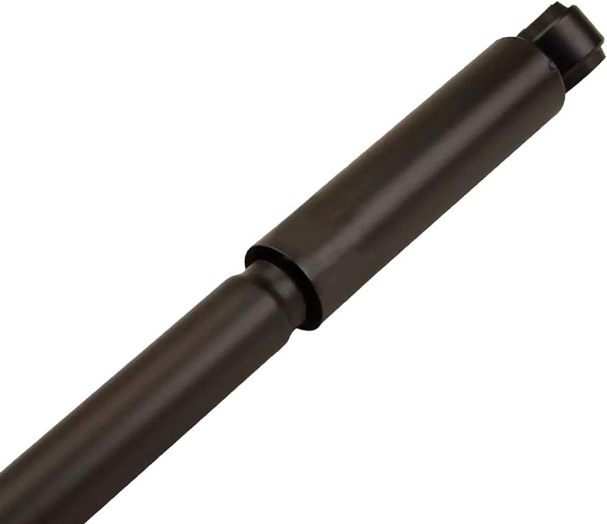 Rear Shock Absorber - 4344428 x2