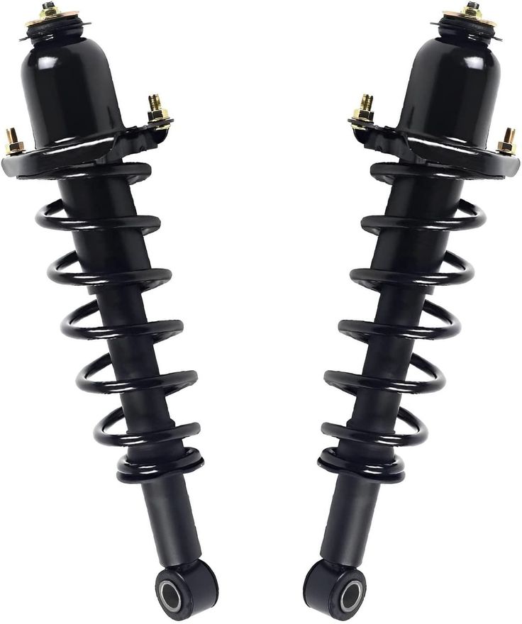 Rear Strut w/Coil Spring - 172394L_172394R