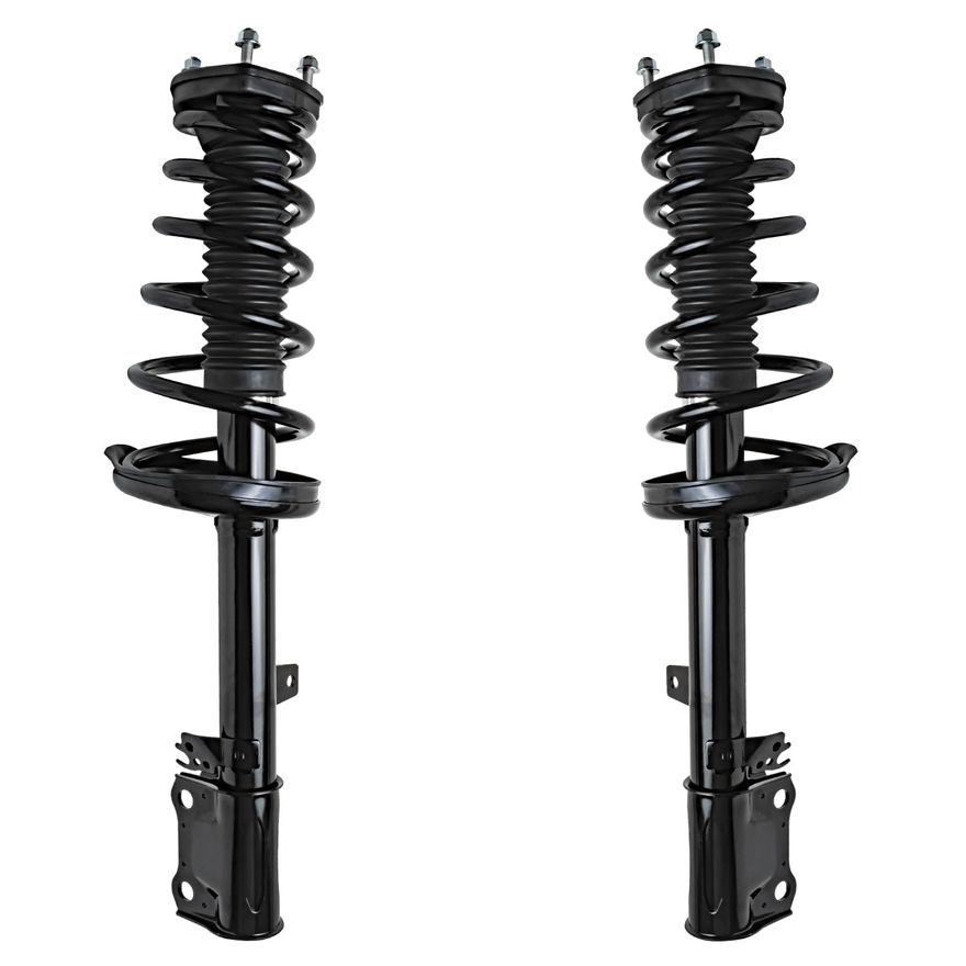 Rear Struts w/Coil Spring - 172966_172967