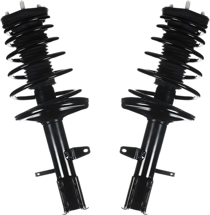 Rear Strut w/Coil Spring - 172964_172965