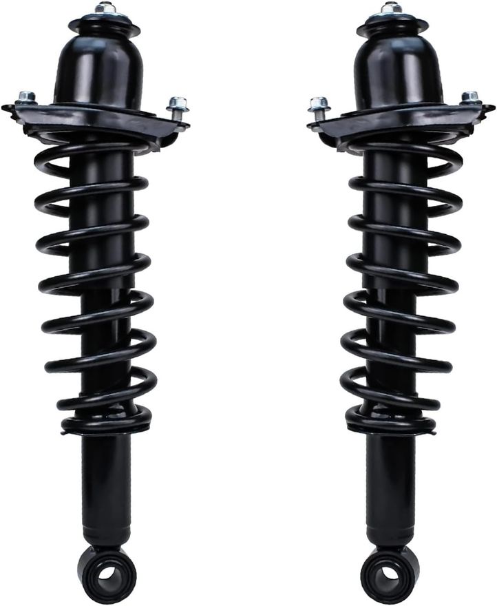 Rear Strut w/Coil Spring - 172599L_172599R