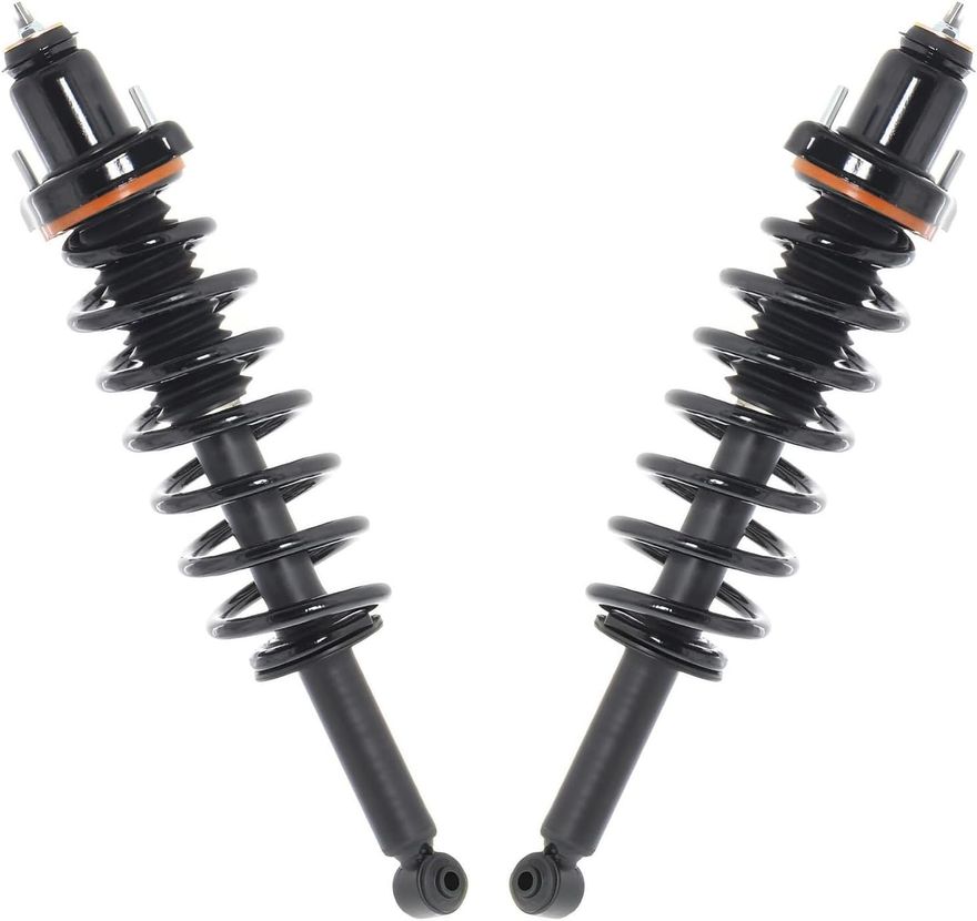 Rear Strut w/Coil Spring - 172895 x2