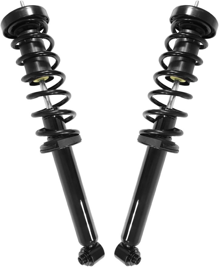 Rear Strut w/Coil Spring - 15950 x2