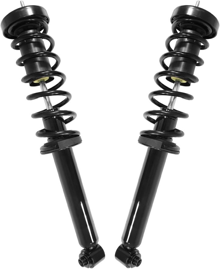 Rear Strut w/Coil Spring - 15950 x2