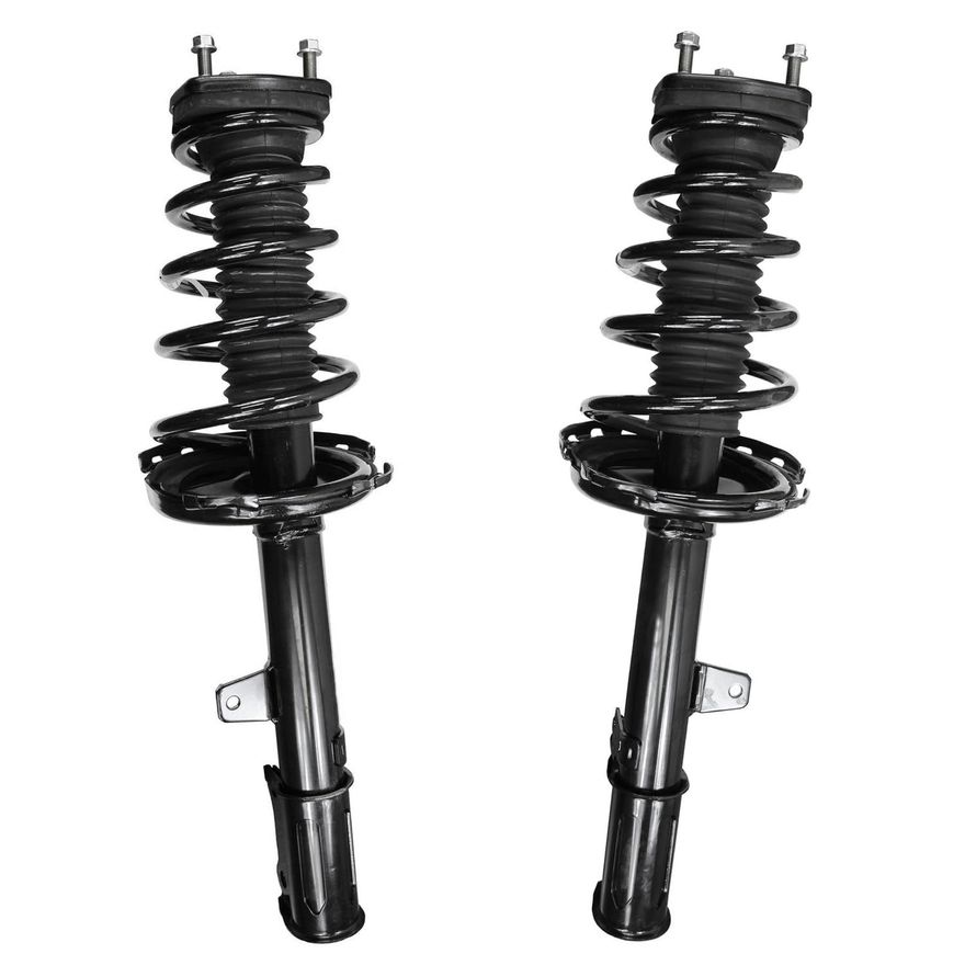 Rear Strut w/Coil Spring - 172213_172214