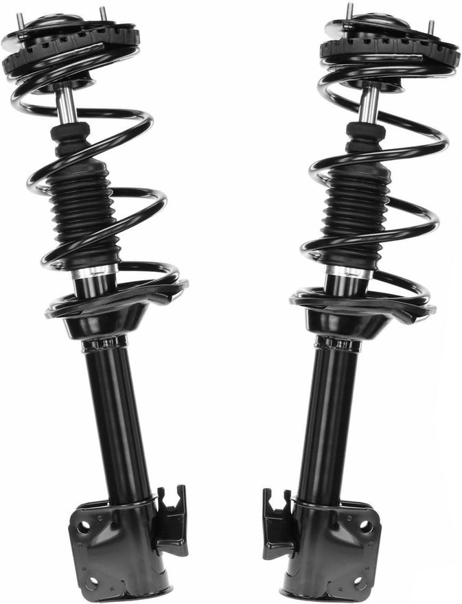 Rear Strut w/Coil Spring - 172412_172413