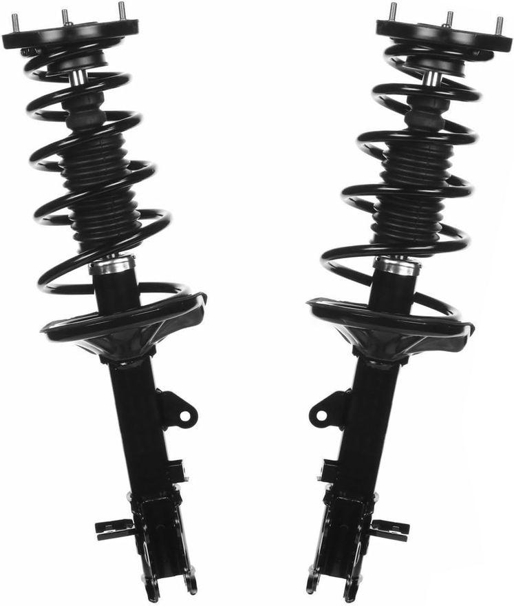 Rear Strut w/Coil Spring - 172303_172304