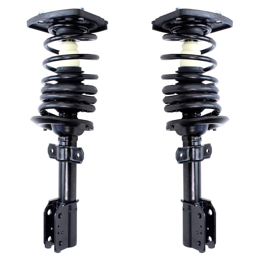 Rear Struts w/Coil Spring - 271662L_271662R