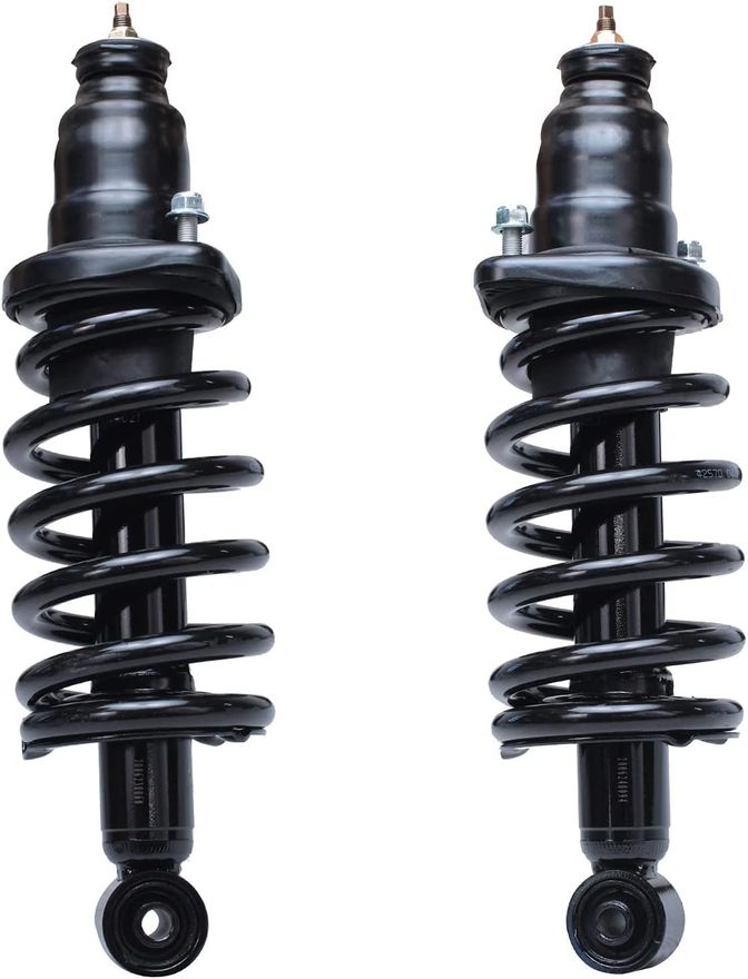 Rear Struts w/Coil Spring - 171101L_171101R