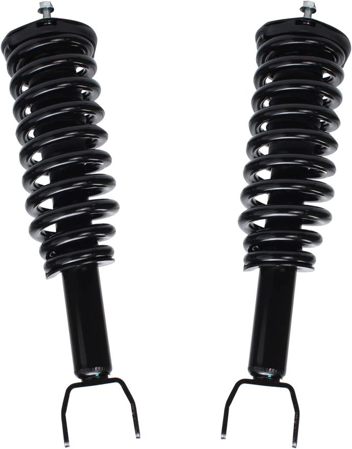 Front Struts w/Coil Spring - 271100L_271100R