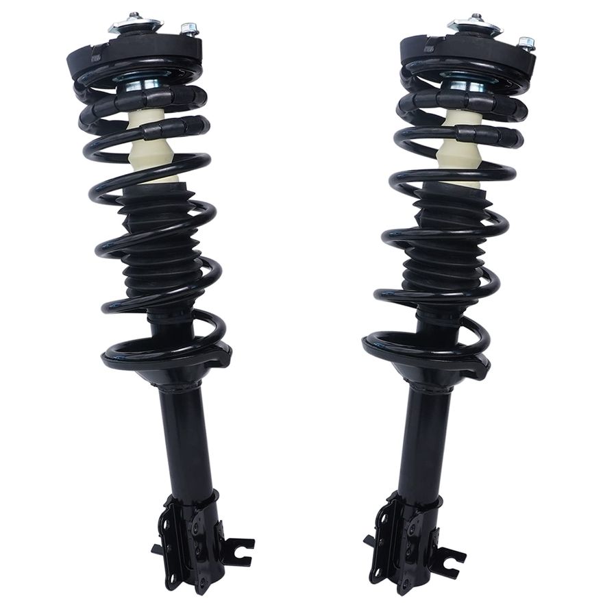 Rear Struts w/Coil Spring - 171880 x2