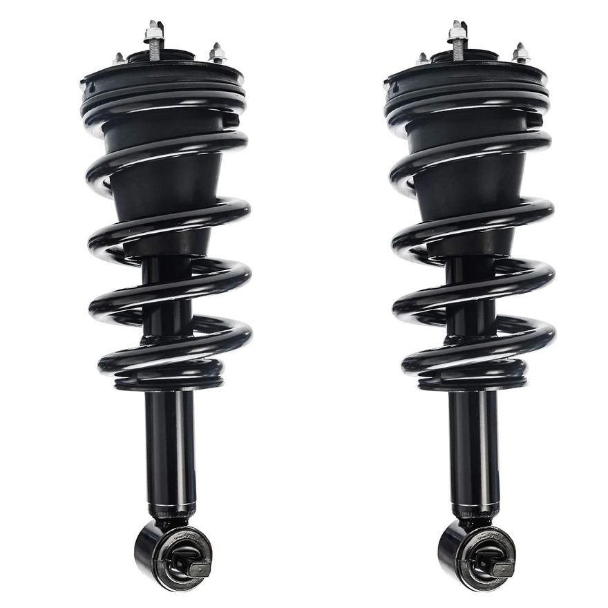Front Struts w/Coil Spring - 239112 x2
