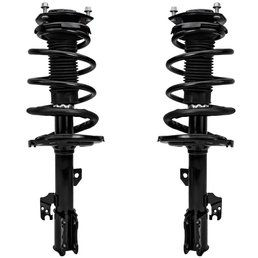 Front Strut w/Coil Spring - 172365_172366