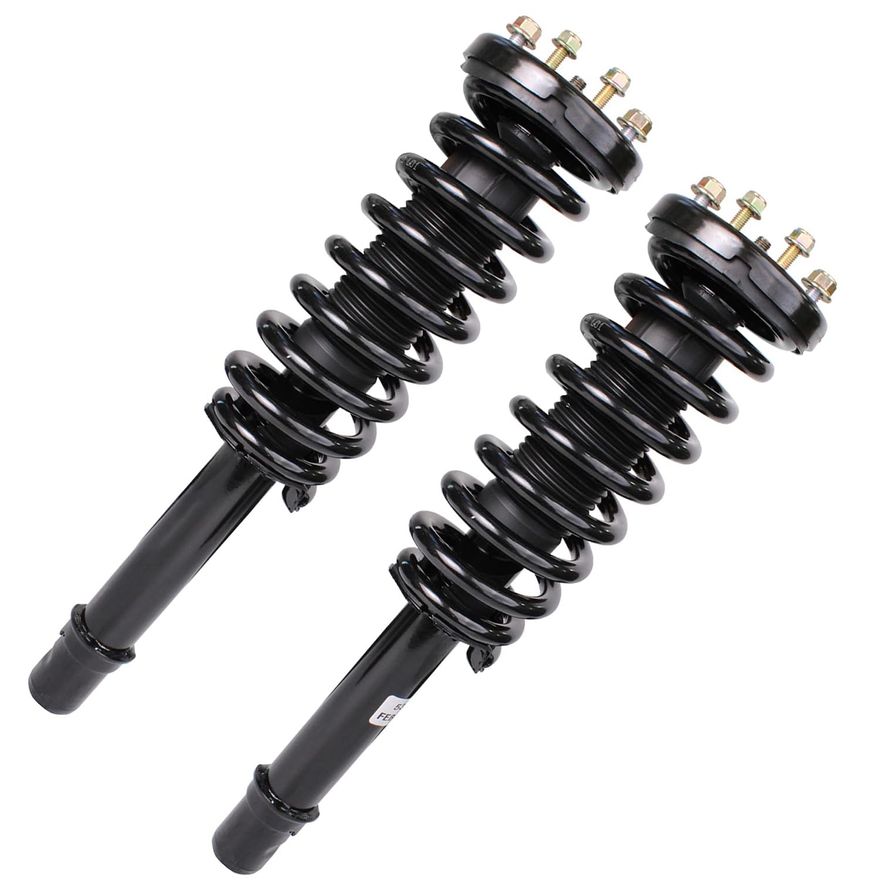 Front Strut w/Coil Spring - 172123L_172123R