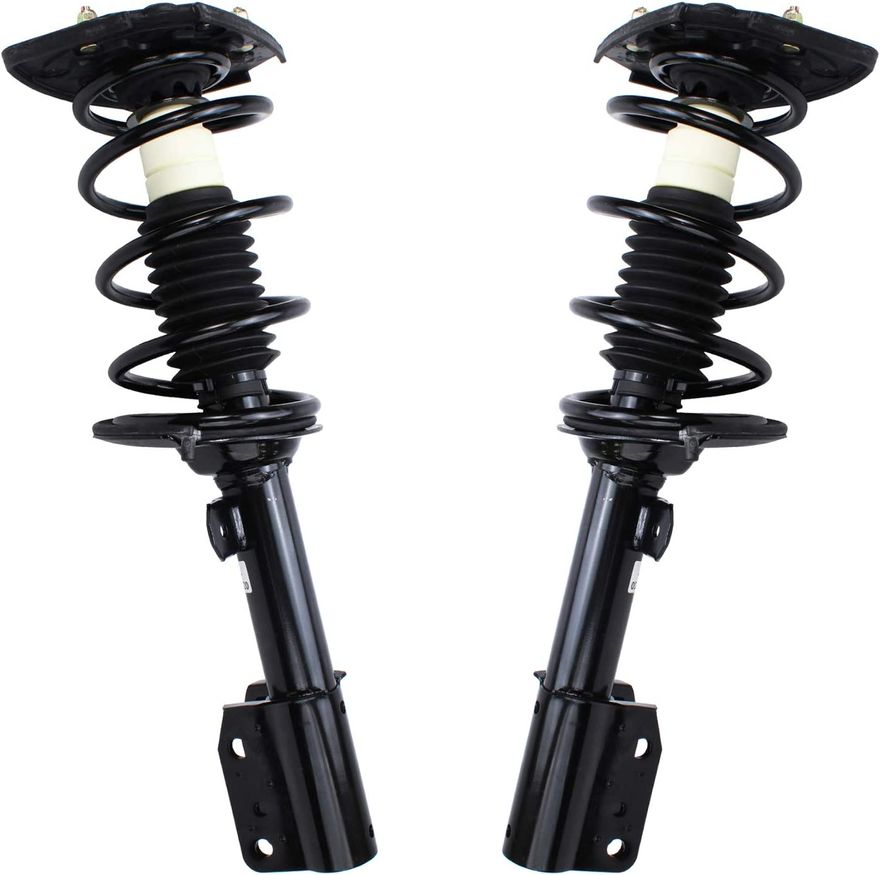 Rear Struts w/Coil Spring -  171671L_171671R