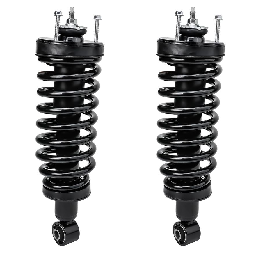 Front Strut w/Coil Spring - 171346 x2