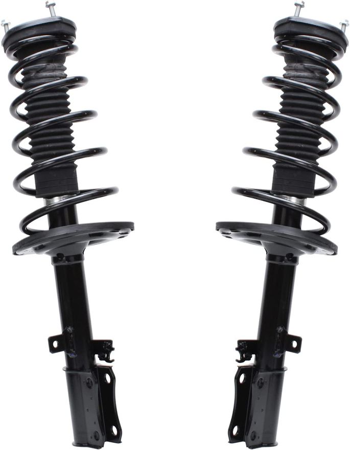 Rear Struts w/Coil Spring - 172207_172208