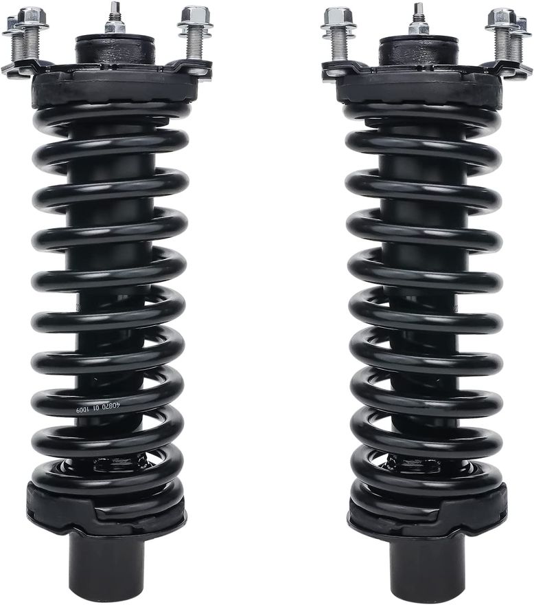 Rear Struts w/Coil Spring - 171577L_171577R