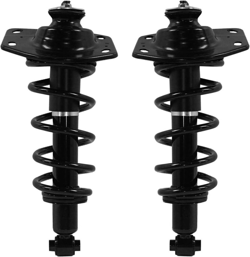 Rear Strut w/Coil Spring - 173029L_173029R