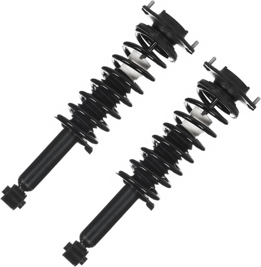 Rear Strut w/Coil Spring - 172691 x2