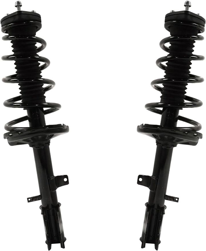 Rear Strut w/Coil Spring - 372489_372490