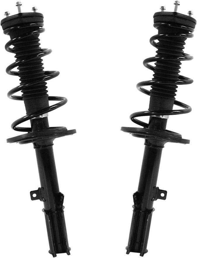 Rear Strut w/Coil Spring - 172640_272309