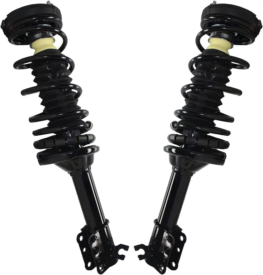 Rear Struts w/Coil Spring - 171994 x2