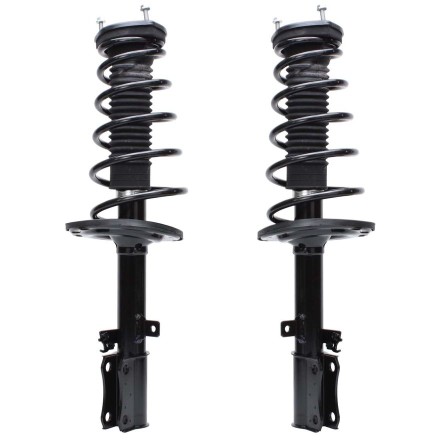 Rear Strut w/Coil Spring - 172207_172208