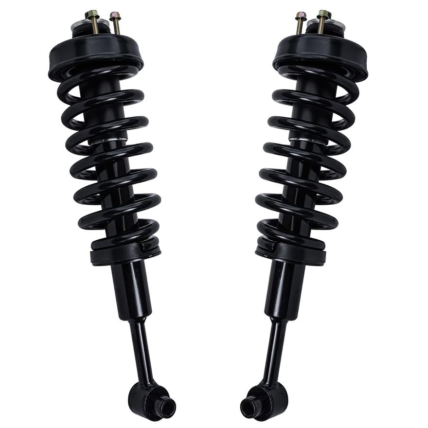 Rear Strut w/Coil Spring - 171322 x2