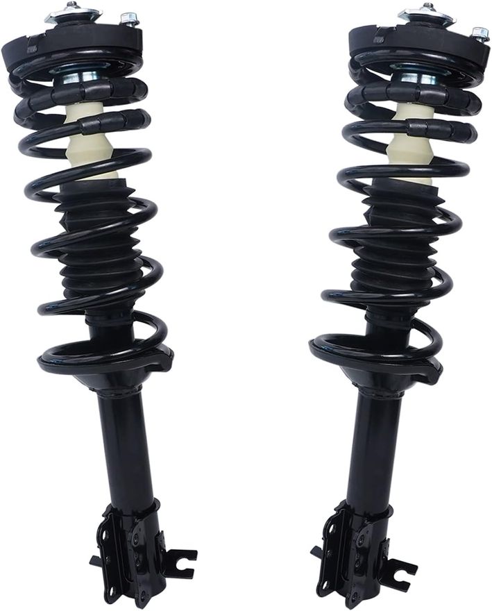 Rear Strut w/Coil Spring - 171880 x2