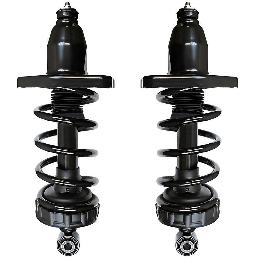 Rear Struts w/Coil Spring - 172398L_172398R