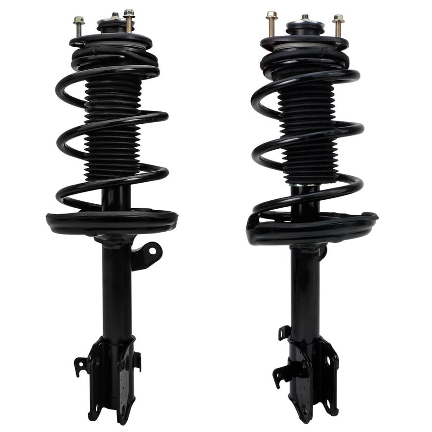 Front Struts w/Coil Spring - 172343_172344