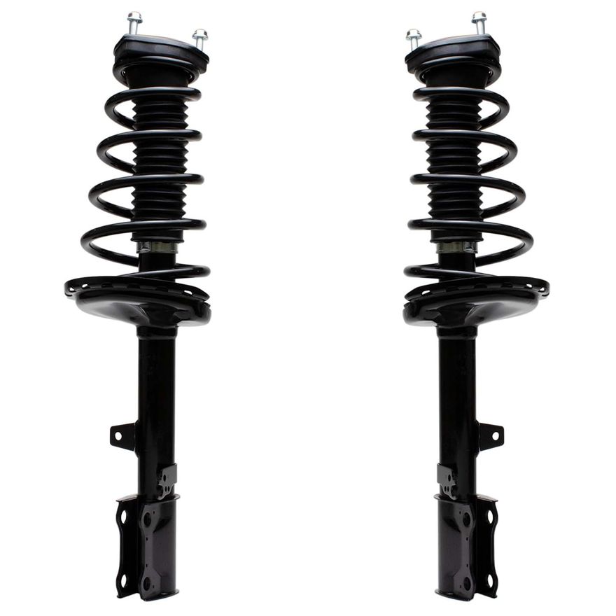 Rear Struts w/Coil Spring - 172485_172486