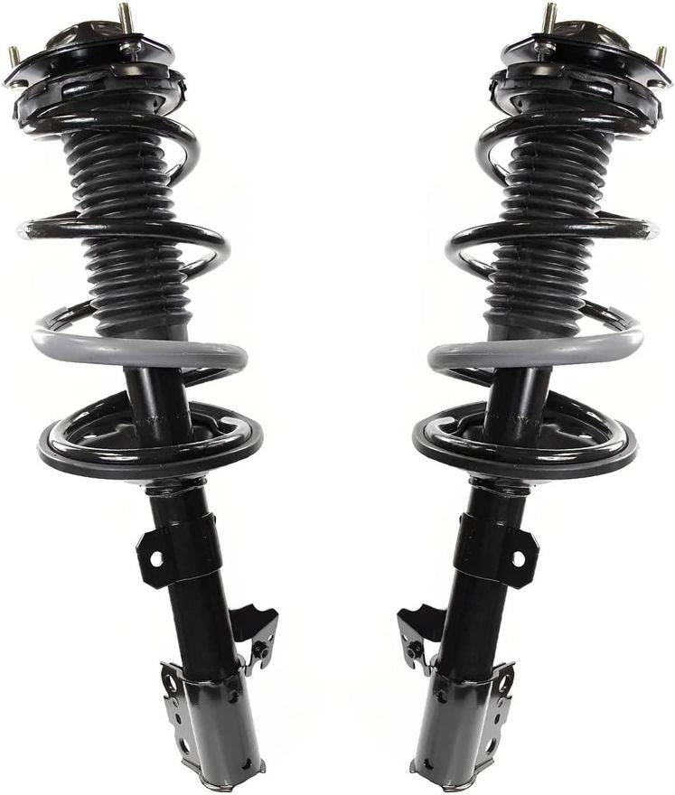 Rear Struts w/Coil Spring - 171496_171497