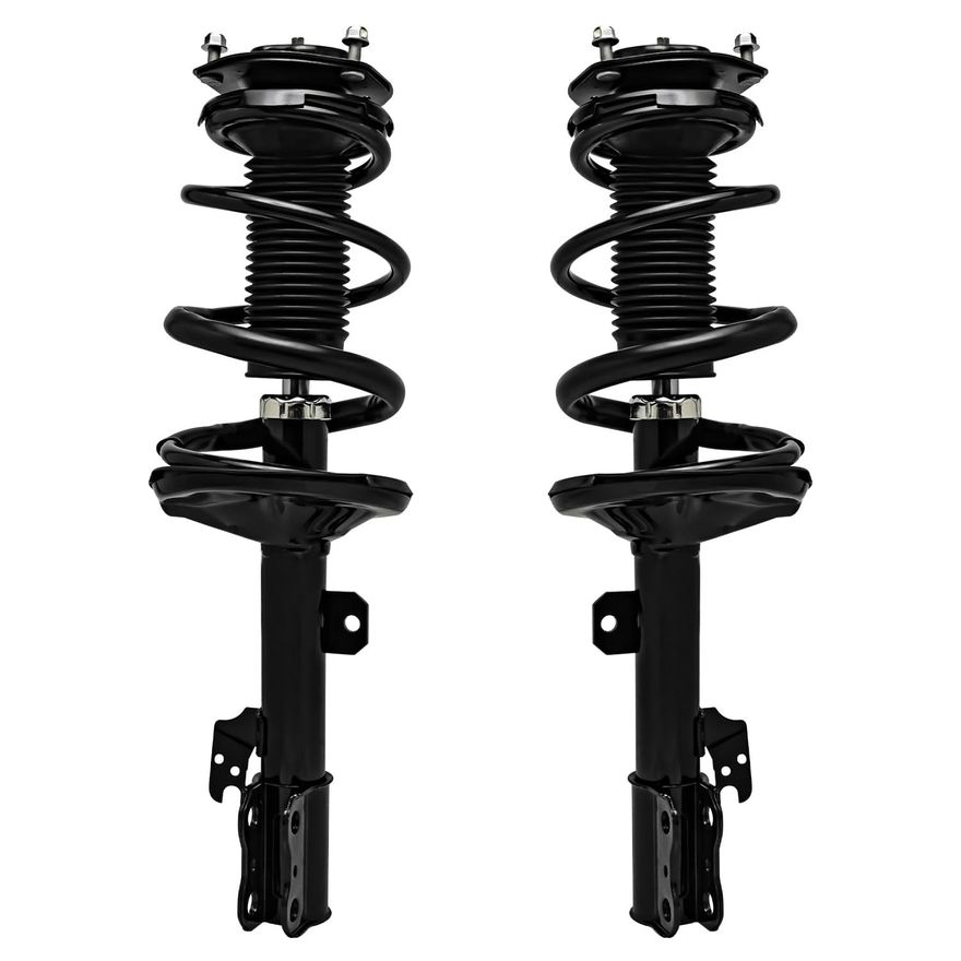 Rear Struts w/Coil Spring - 171496_171497