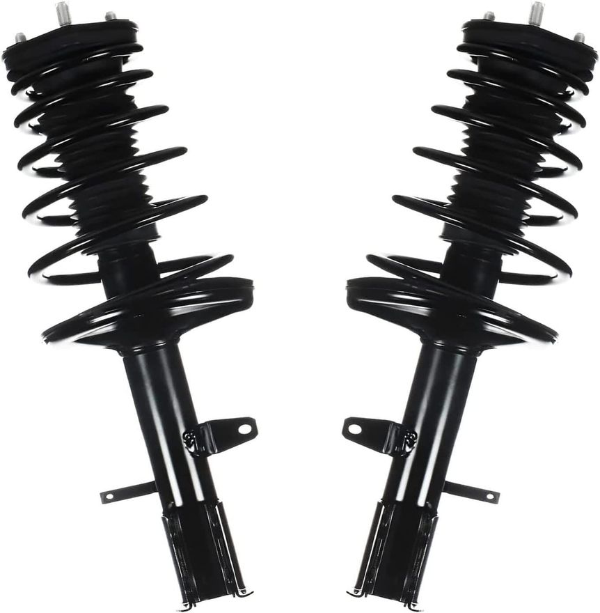 Rear Strut w/Coil Spring - 172964_172965