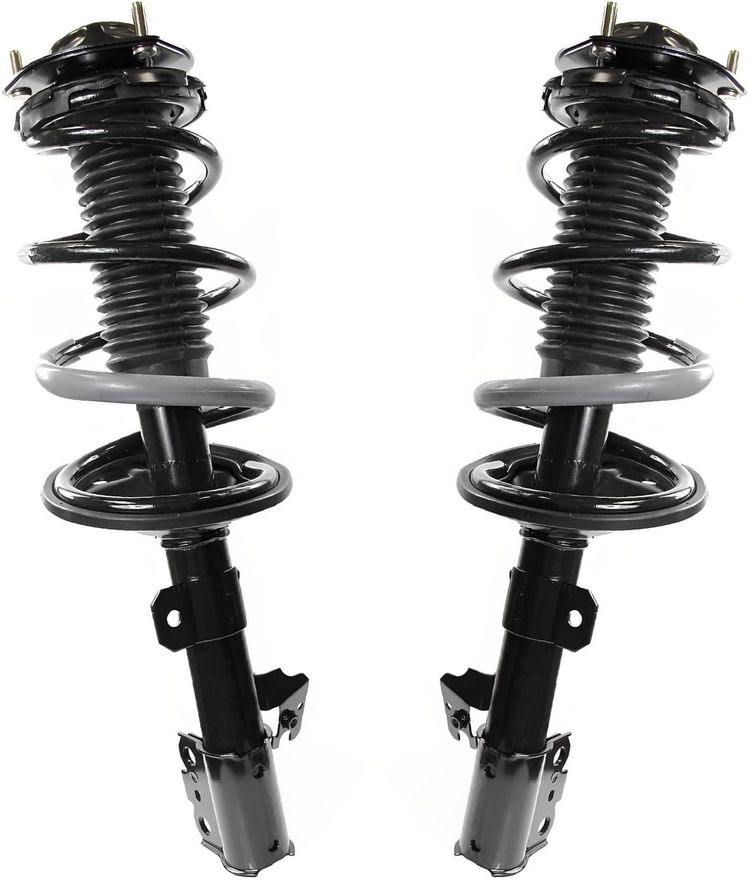 Rear Strut w/Coil Spring - 171497_171496