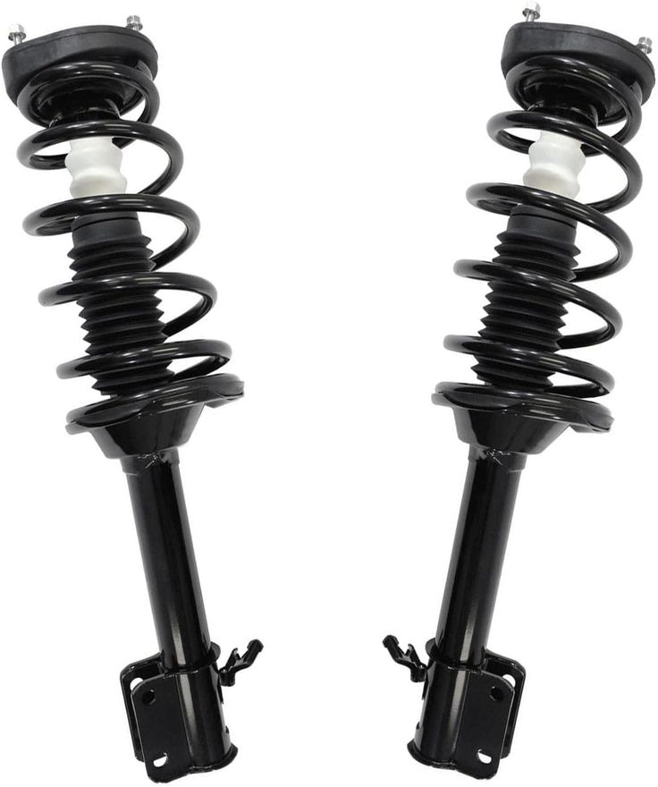 Rear Strut w/Coil Spring - 172445_172446