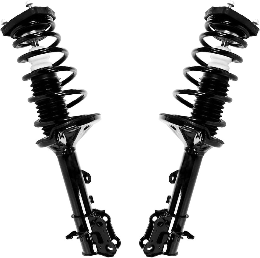 Rear Strut w/Coil Spring - 172193_172194