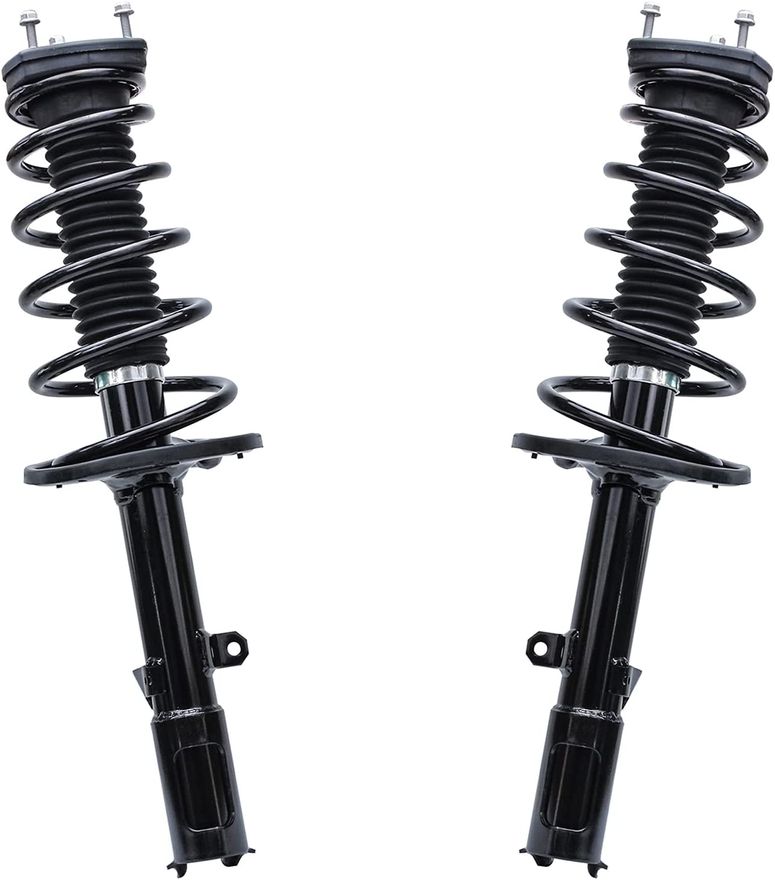 Rear Strut w/Coil Spring - 172309_172310