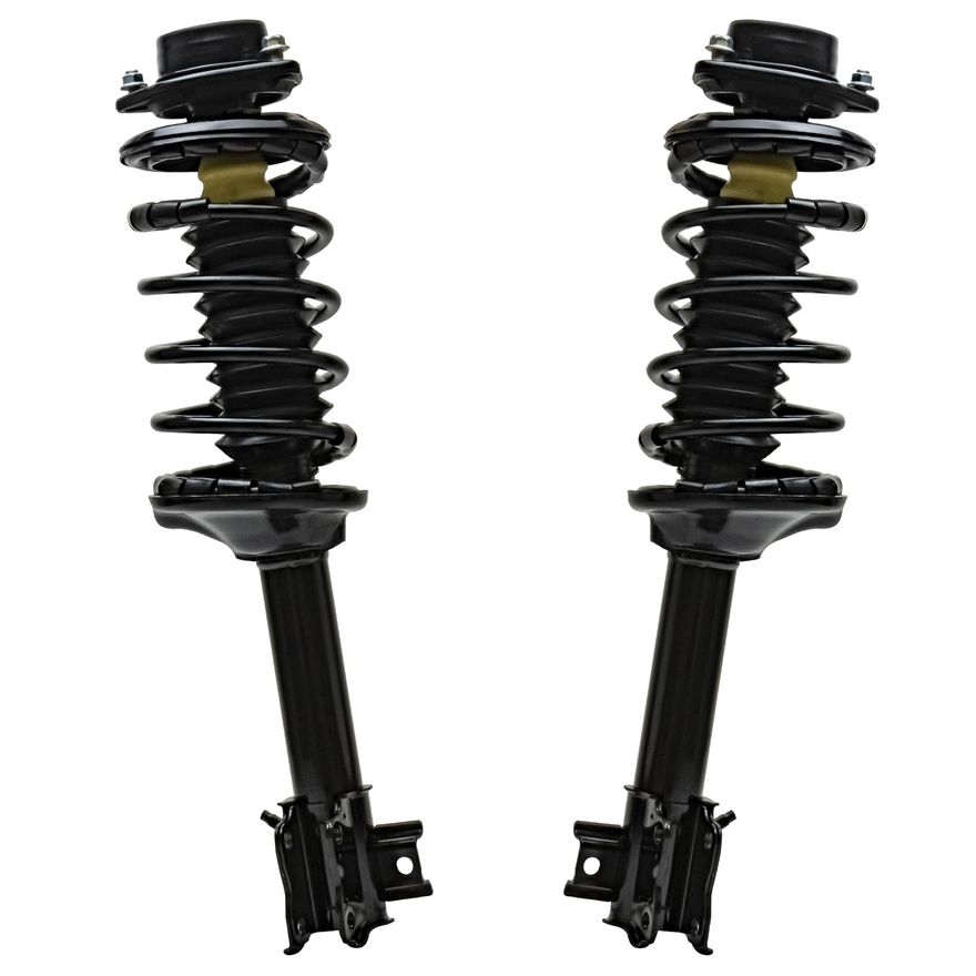 Rear Struts w/Coil Spring - 171943_171944